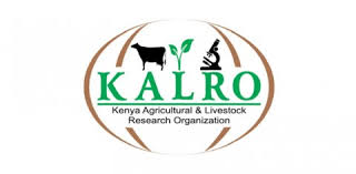 X.	Evaluation of Kenya Agricultural Productivity Project